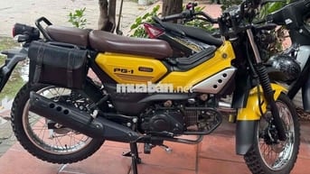 Yamaha PG-1 2024 Vàng 8000km