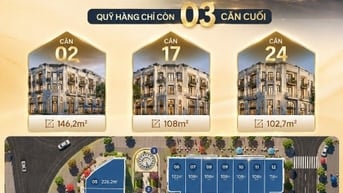 ✨ ĐÀO TẤN DIAMOND – MỘT BẤT ĐỘNG SẢN, MUÔN VÀN GIÁ TRỊ KHAI THÁC ✨