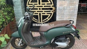 Honda Scoopy 2023 Xanh rêu