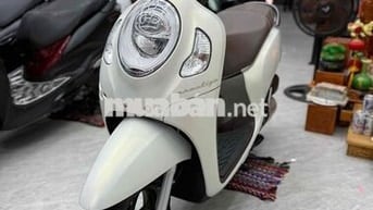 Honda Scoopy 2024 Trắng ngọc trai Tự động
