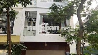 cho thuê nhà nguyên căn 60m2 x 4,5 tầng