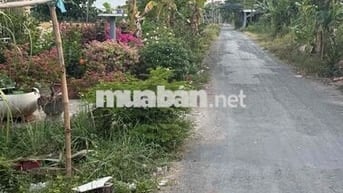 🏡 ĐẤT THỔ CƯ CHÍNH CHỦ – GIÁ CHỈ 860 TRIỆU