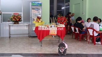 *CHO THUÊ MẶT BẰNG KINH DOANH BUỔI SÁNG – VỊ TRÍ ĐẸP MẶT TIỀN CMT8*