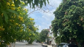  Cho thuê nhà 15tr mặt đường 20m , p Bình Trưng Đông 