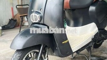Sadoka Crea 2023 Đen