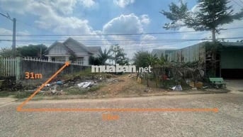 ĐẤT 16X31 NHÁNH LÊ LAI, ĐỒNG XOÀI, BÌNH PHƯỚC