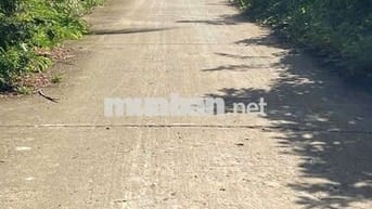 bán đất ngộp Xã Bình Chánh TP HCM