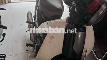 Honda Cub 50 2019  xanh