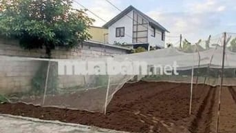 ⚡ Giá giảm sâu – Cơ hội hiếm tại Bùi Thị Lùng, Hóc Môn