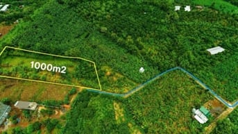 1.000m² đất vườn đẹp – Xã Gia Kiệm, Đồng Nai – Chỉ 900 triệu