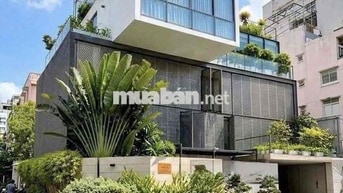 BIỆT THỰ NGUYỄN SỸ SÁCH, TÂN BÌNH – KHUÔN VIÊN LỚN 300m2, THANG MÁY