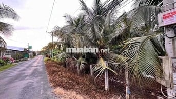 Bán Đất mặt tiền đường nhựa thị Trấn Tân Hiệp tỉnh Tiền Giang