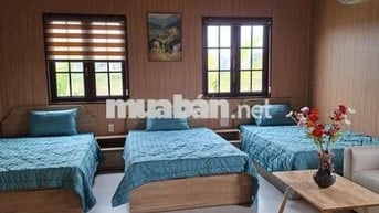 🇻🇳 CHO THUÊ CĂN HỘ CAO CẤP - PHÚ MỸ AN - CÓ SÂN VƯỜN
