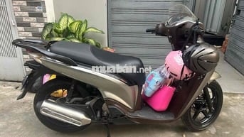 Honda SH 2010 Xám Ý