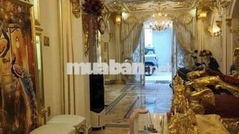 Chính chủ e cần cho thuê nhà Nguyên căn biệt thự dát vàng Q7  Vị trí l