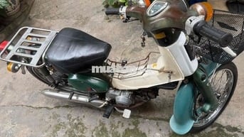 Honda Cub 50cc 1981 Xanh Trắng