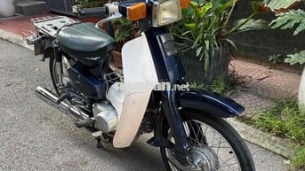 Honda Cub 50