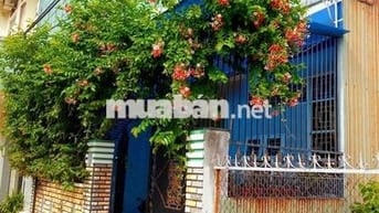 Đón đầu dự án biệt thự thương mại, bán nhà "vị trí vàng" 7m ngang