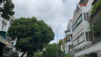 CHO THUÊ TÒA NHÀ MẶT TIỀN HOA MAI – PHƯỜNG CẦU KIỆU, TP.HCM