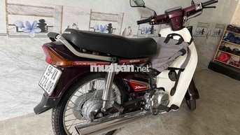 Honda Dream Nâu, Trắng