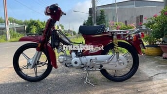 Dream Thái Đỏ 54 full redleo