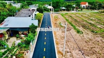 Chủ gửi 1 cặp 450m2, giá full 545tr/lô, đối diện kinh doanh quán Café.