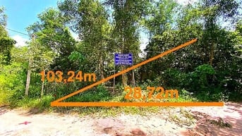 Công ty Đấu giá hợp danh Lam Sơn Sài Gòn thông báo đấu giá tài sản