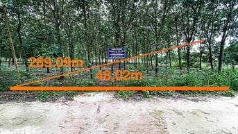 Công ty Đấu giá hợp danh Lam Sơn Sài Gòn thông báo đấu giá tài sản