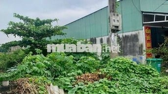 Bán Đất 129.5 m2 thổ cư tại Thị trấn Bến Lức Huyện Bến Lức Long An
