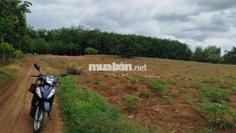 BÁN NHANH LÔ ĐẤT SÀO 4000M2, 2 MẶT TIỀN, SỔ SẴN, ĐƯỜNG ĐẤT, GIÁ 490TR