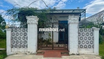 ĐẤT KQH TRẠM BƠM TẶNG NHÀ CẤP 4 MẶT TIỀN ĐƯỜNG 31M