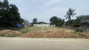 Chủ nhà có việc bán gấp 1200m đất Triệu Sơn, Thanh Hóa 