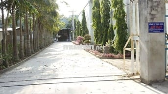 Nhà xưởng sản xuất, kho  và văn phòng cho thuê