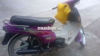 Xe củ