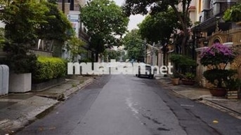 Cho thuê nhà 16x18m 2 lầu Đường Hoa Phú Nhuận