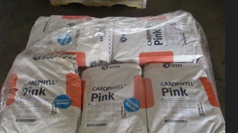 THANH LÝ CAROPHYLL PINK 10%-CWS – HÀNG CHÍNH HÃNG, GIÁ TỐT