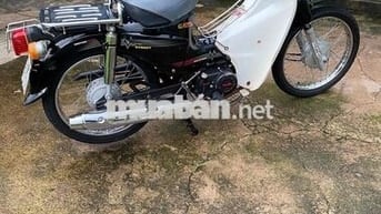 Xe Cub 50cc xe đẹp máy êm ru HS không cần bằng lái