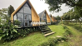 Đất Nghỉ Dưỡng Bảo Lộc, Sổ Sẵn, Công Chứng