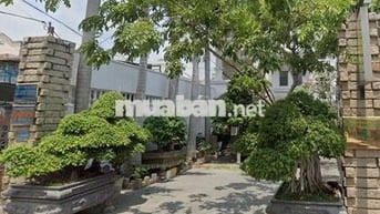 Cần tìm một bạn Nam ở ghép phòng CHDV, Trường Thọ!!!