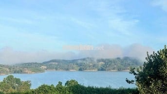 Đất thổ cư tựa sườn đồi view hồ có nhà gỗ Bắc Âu và vườn cây ăn trái