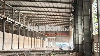 Tính đồ mở Sân Pickleball Quận 7 đấy nhé, S 1500m2 đả có mái 85k/m2.