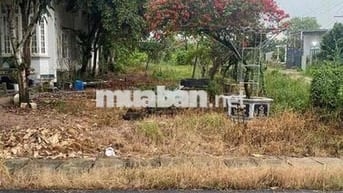 chính chủ cần bán đất ở hắc dịch