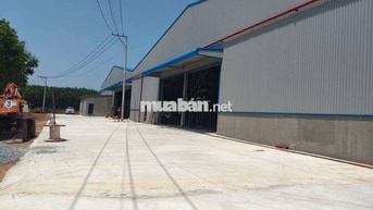 XƯỞNG 1200M2 CÓ PCCC ĐƯỜNG CONT KẾ TRUNG TAM