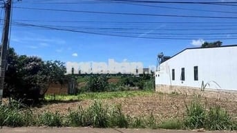 Đất nền Bồng lai- Đức trọng- Lâm Đồng