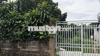 BÁN ĐẤT ĐẸP HẺM 95 PHAN CHU TRINH – PHƯỜNG 3, BẢO LỘC