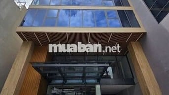 🔈 Tòa Nhà MT Quách Văn Tuấn_Q.TB_8x20m_Hầm Trệt Lửng 4 Lầu, TM, PCCC.