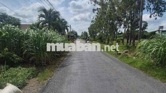 🔥🔥 Bán Đất Mặt Tiền 536mv 150 thổ cư 1ty250tr gò công tây tiền giang