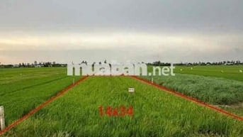 Mặt tiền đường Tỉnh Lộ 864 Nối dài biển Tân Thành