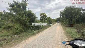Bán đất diện tích lớn đón sóng phát triển Tân Mỹ, Đức Hòa