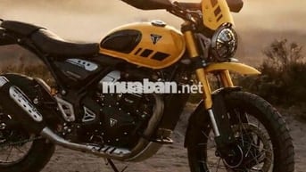 Triumph Scrambler 400 XC 2026 Vàng 398cc